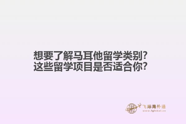 想要了解马耳他留学类别？这些留学项目是否适合你？