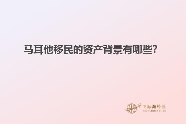马耳他移民的资产背景有哪些？