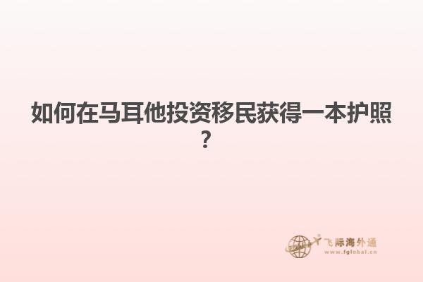 如何在马耳他投资移民获得一本护照？