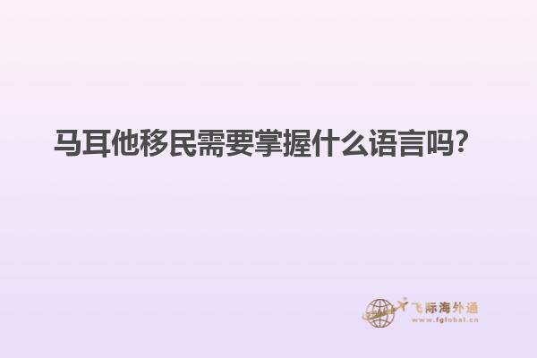 马耳他移民需要掌握什么语言吗？
