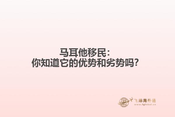 马耳他移民：你知道它的优势和劣势吗？