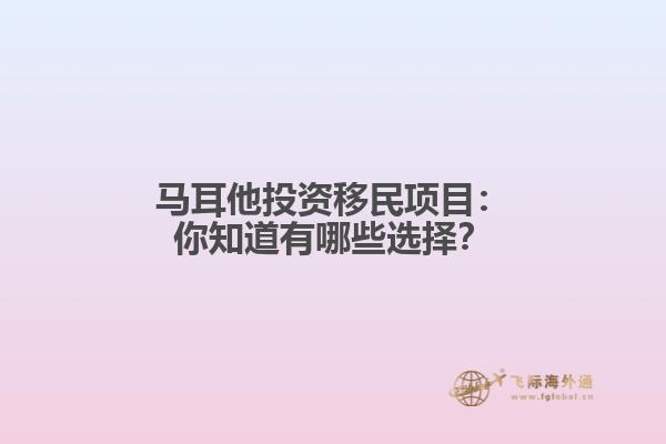 马耳他投资移民项目：你知道有哪些选择？