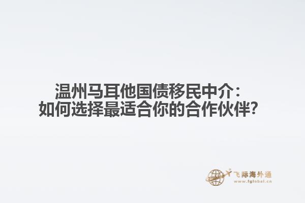 温州马耳他国债移民中介：如何选择最适合你的合作伙伴？