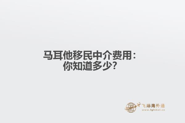 马耳他移民中介费用：你知道多少？