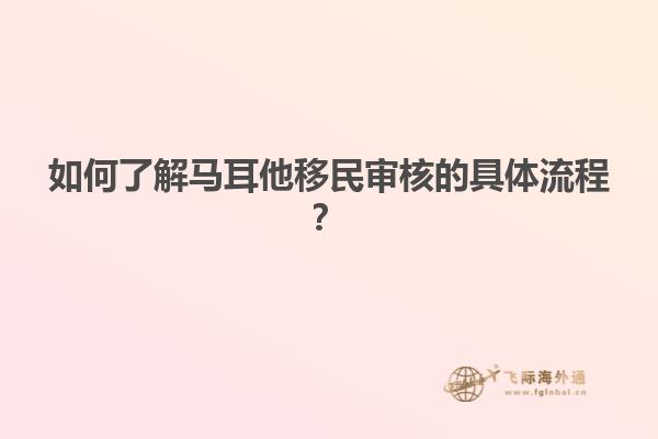 如何了解马耳他移民审核的具体流程？