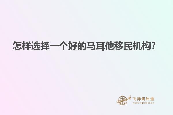怎样选择一个好的马耳他移民机构？