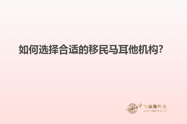 如何选择合适的移民马耳他机构？