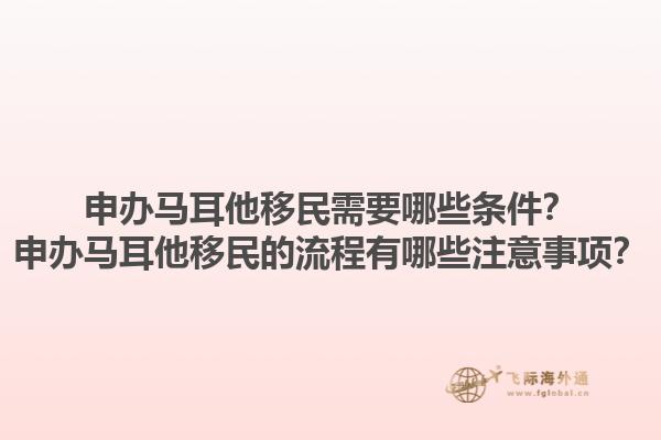 申办马耳他移民需要哪些条件？申办马耳他移民的流程有哪些注意事项？1.jpg