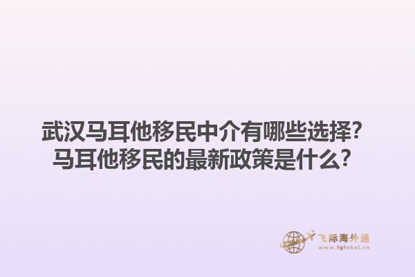 武汉马耳他移民中介有哪些选择？马耳他移民的最新政策是什么？1.jpg
