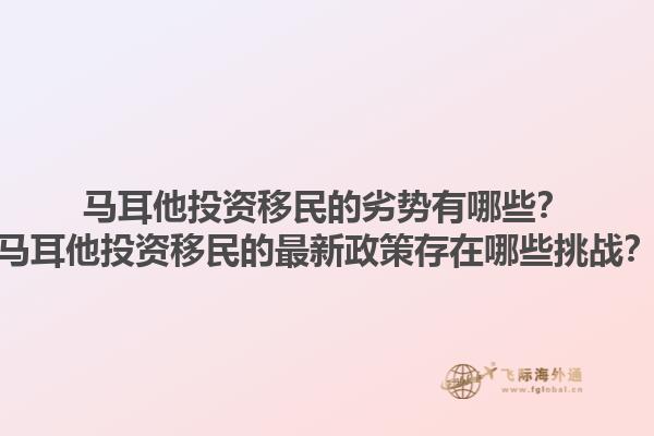 马耳他投资移民的劣势有哪些？马耳他投资移民的最新政策存在哪些挑战？