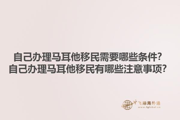 自己办理马耳他移民需要哪些条件？自己办理马耳他移民有哪些注意事项？