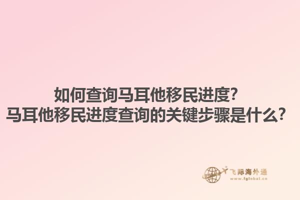 如何查询马耳他移民进度？马耳他移民进度查询的关键步骤是什么？1.jpg