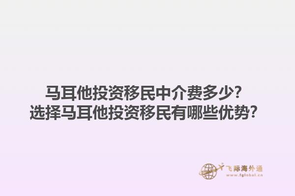 马耳他投资移民中介费多少？选择马耳他投资移民有哪些优势？1.jpg