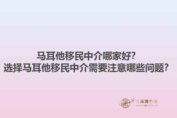 马耳他移民中介哪家好？选择马耳他移民中介需要注意哪些问题？