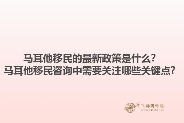 马耳他移民的最新政策是什么？马耳他移民咨询中需要关注哪些关键点？