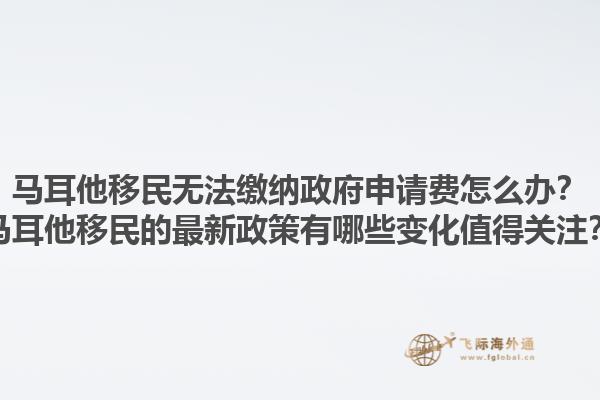 马耳他移民无法缴纳政府申请费怎么办？马耳他移民的最新政策有哪些变化值得关注？1.jpg