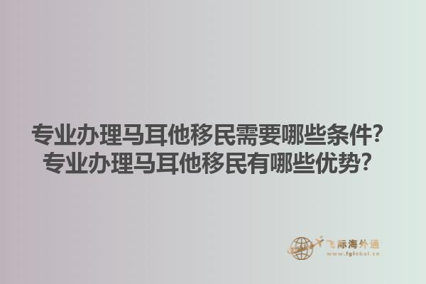 专业办理马耳他移民需要哪些条件？专业办理马耳他移民有哪些优势？