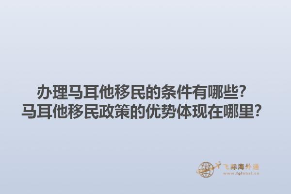 办理马耳他移民的条件有哪些？马耳他移民政策的优势体现在哪里？1.jpg