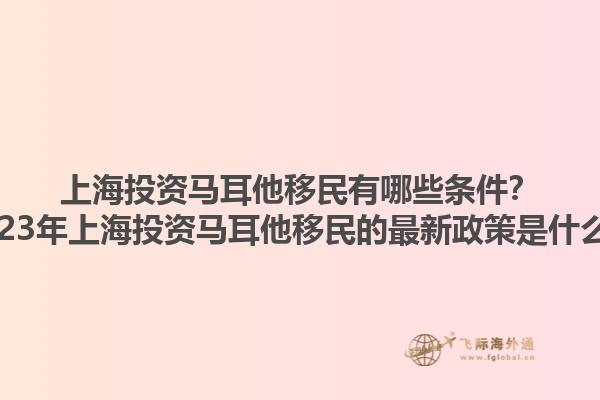 上海投资马耳他移民有哪些条件？2023年上海投资马耳他移民的最新政策是什么？