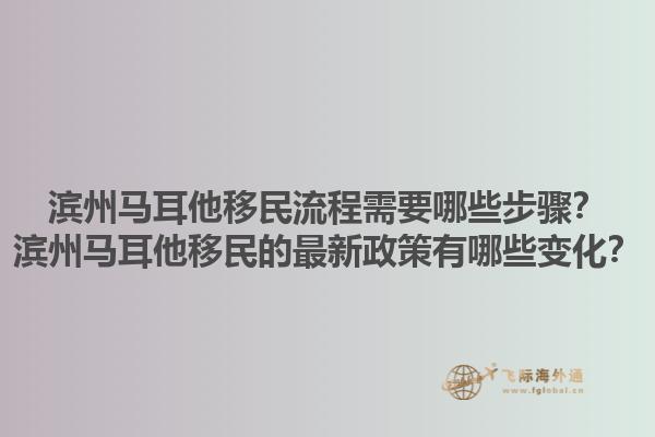 滨州马耳他移民流程需要哪些步骤？滨州马耳他移民的最新政策有哪些变化？