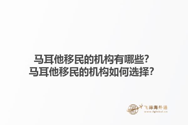 马耳他移民的机构有哪些？马耳他移民的机构如何选择？1.jpg