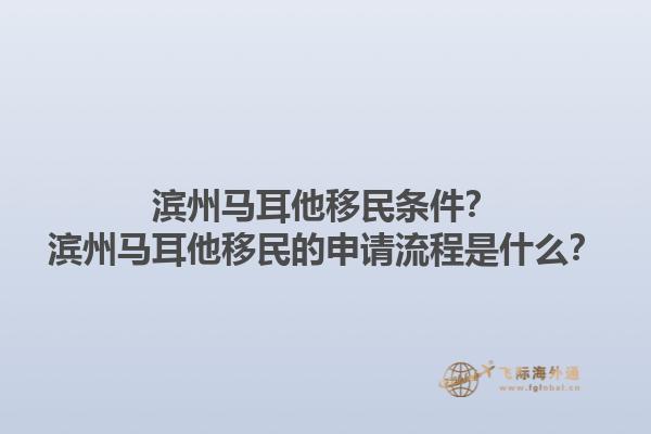 滨州马耳他移民条件？滨州马耳他移民的申请流程是什么？1.jpg