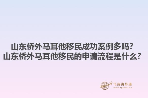 山东侨外马耳他移民成功案例多吗？山东侨外马耳他移民的申请流程是什么？1.jpg