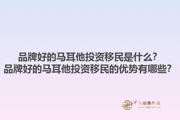 品牌好的马耳他投资移民是什么？品牌好的马耳他投资移民的优势有哪些？1.jpg