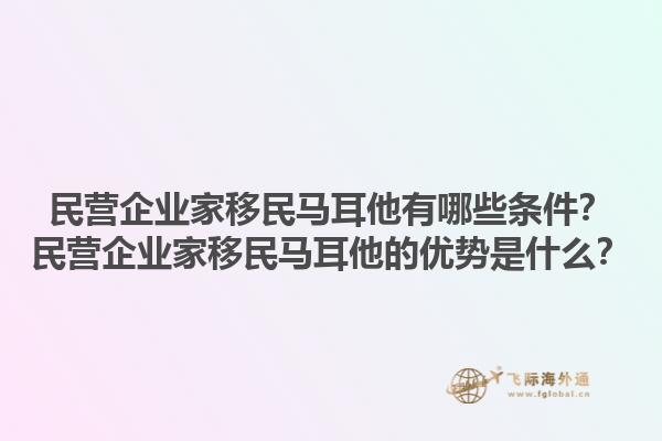 民营企业家移民马耳他有哪些条件？民营企业家移民马耳他的优势是什么？1.jpg