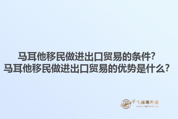 马耳他移民做进出口贸易的条件？马耳他移民做进出口贸易的优势是什么？1.jpg