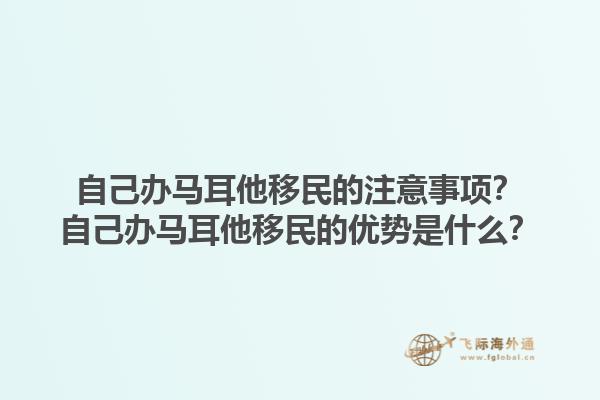自己办马耳他移民的注意事项？自己办马耳他移民的优势是什么？1.jpg