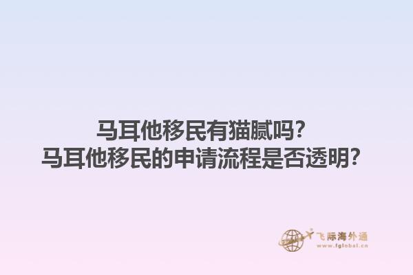 马耳他移民有猫腻吗？马耳他移民的申请流程是否透明？1.jpg