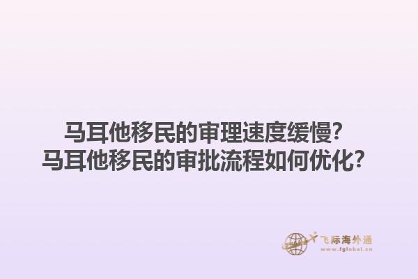 马耳他移民的审理速度缓慢？马耳他移民的审批流程如何优化？