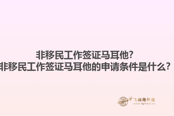 非移民工作签证马耳他？非移民工作签证马耳他的申请条件是什么？1.jpg