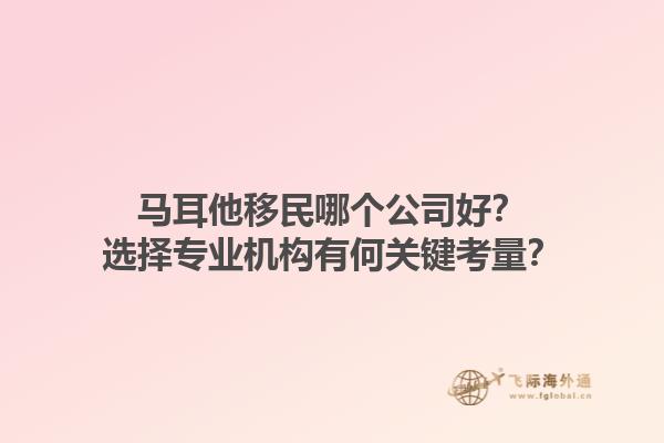 马耳他移民哪个公司好？选择专业机构有何关键考量？1.jpg
