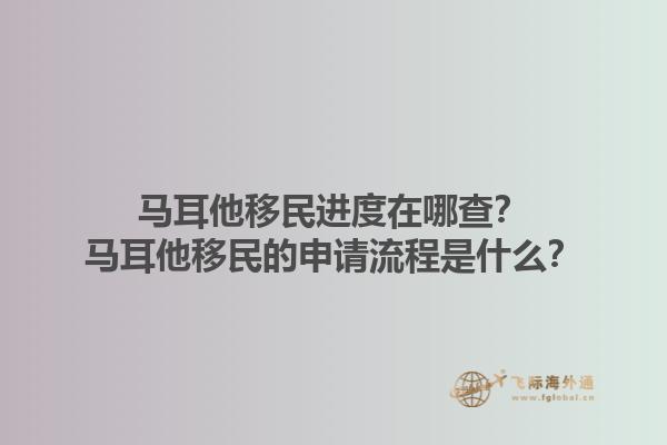 马耳他移民进度在哪查？马耳他移民的申请流程是什么？1.jpg