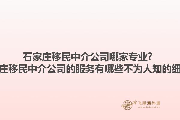 石家庄移民中介公司哪家专业？石家庄移民中介公司的服务有哪些不为人知的细节？1.jpg
