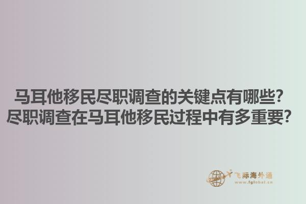 马耳他移民尽职调查的关键点有哪些？尽职调查在马耳他移民过程中有多重要？1.jpg
