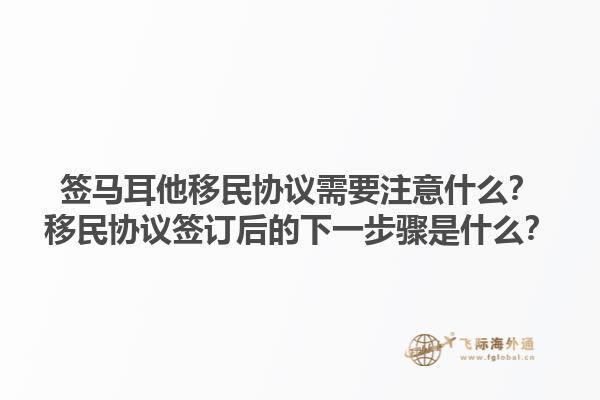 签马耳他移民协议需要注意什么？移民协议签订后的下一步骤是什么？1.jpg