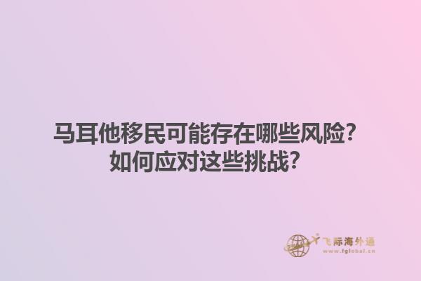 马耳他移民可能存在哪些风险？如何应对这些挑战？1.jpg