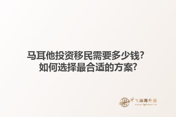 马耳他投资移民需要多少钱？如何选择最合适的方案?1.jpg