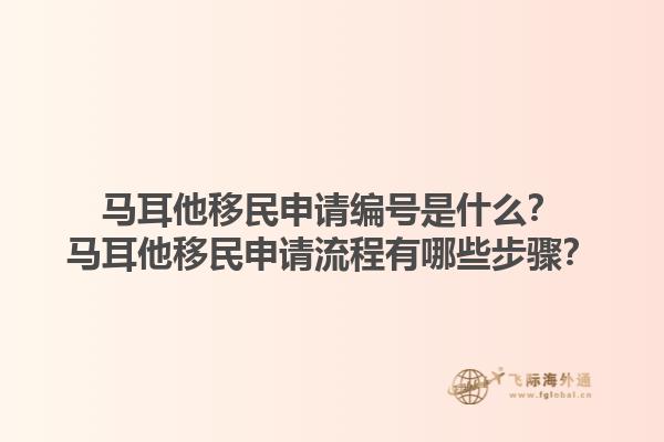 马耳他移民申请编号是什么？马耳他移民申请流程有哪些步骤？