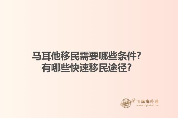 马耳他移民需要哪些条件？有哪些快速移民途径？