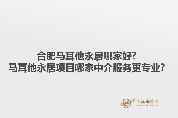 合肥马耳他永居哪家好？马耳他永居项目哪家中介服务更专业？