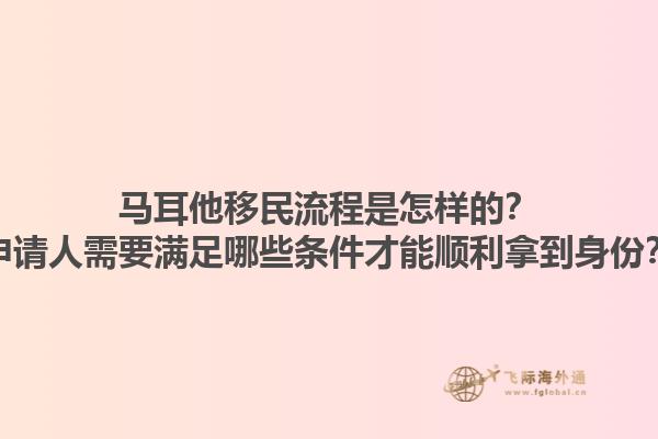 马耳他移民流程是怎样的？申请人需要满足哪些条件才能顺利拿到身份？