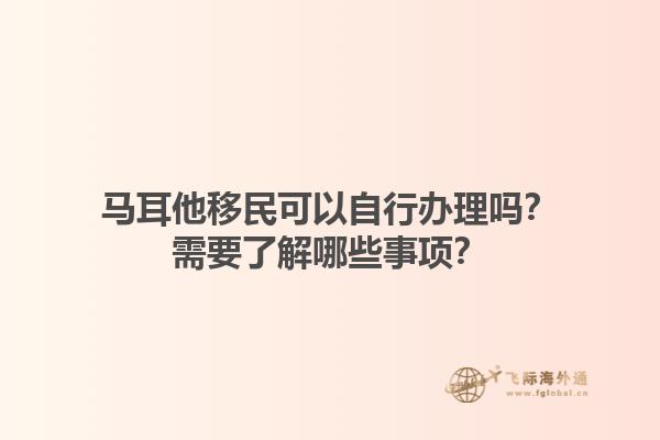 马耳他移民可以自行办理吗？需要了解哪些事项？