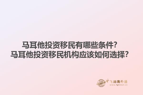 马耳他投资移民有哪些条件？马耳他投资移民机构应该如何选择？