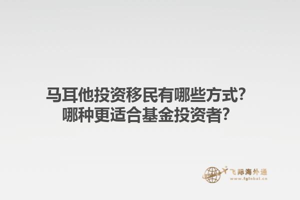 马耳他投资移民有哪些方式？哪种更适合基金投资者？