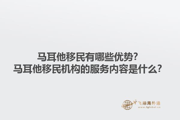 马耳他移民有哪些优势？马耳他移民机构的服务内容是什么？