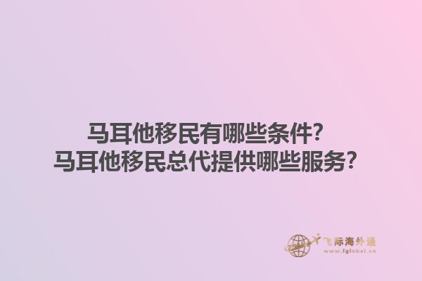 马耳他移民有哪些条件？马耳他移民总代提供哪些服务？